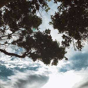 Meet your Posher, Tanaz